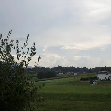 펜션 Del Am Woerthersee 벨덴암워스에르시